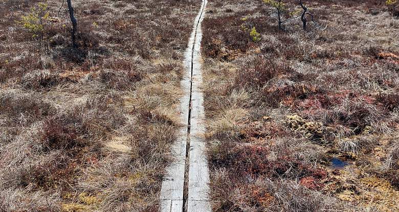 rundslingavarmlandsgarden