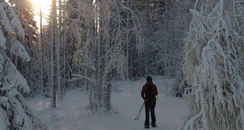 Schneeschuhwandern