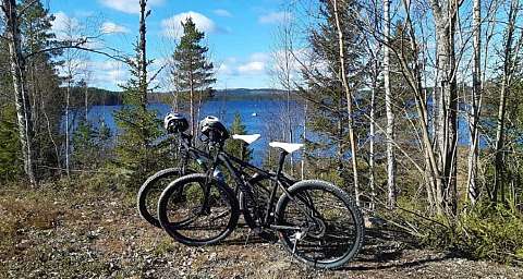 Mountainbike rental