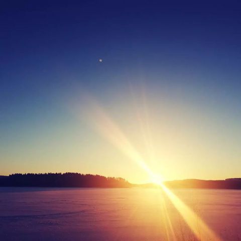 Daylight! Everyday different, everyday stunning. 

#niceview #daylight #sweden #schweden #exploresweden #Scandinavia #visitsweden #visitvarmland #visithagfors #hiddengem #outdoor #outdoorlife #cabin #stuga #canoecamping #nature #naturelover #intothewild #wildcamping #bestkeptsecretofsweden #Värmlandsgården