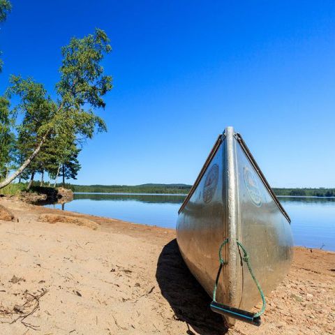 Already feeling the summer fibes! 

For everyone that already booked their canoe tour, have fun with the preparations!
For those who haven't decided yet, don't wait to long, some week are already full. 

www.varmlandsgarden.com

#canoetrip #canoeholiday #swedenholiday #canoe #sweden #canoeinsweden #exploresweden #canoecamping #outdoorlife #activekids #outdoorkids #visitsweden #visitvärmland #visithagfors #ecotravel #bestkeptsecretofsweden #värmlandsgården