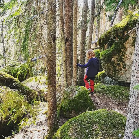 Into the woods...

#walkeveryday #sweden #schweden #zweden #exploresweden #Scandinavia #visitsweden #visitvarmland #visithagfors #hiddengem #outdoor #outdoorlife #cabin #stuga #canoecamping #nature #naturelover #activelifestyle #intothewild #bestkeptsecretofsweden #ecotravel #sustainabletourism #greentravel #Värmlandsgården