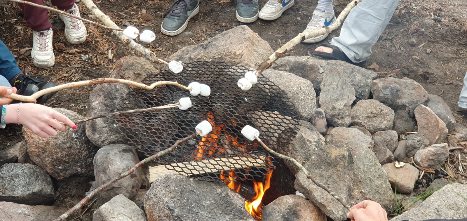 Example programm Scouts