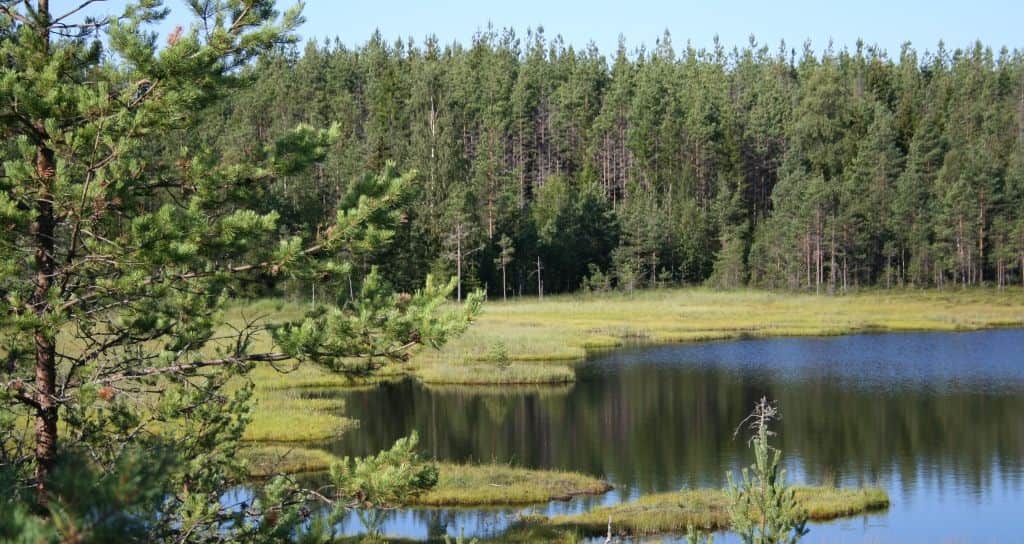 Värmlandsgården vandringsled (13,5 km)