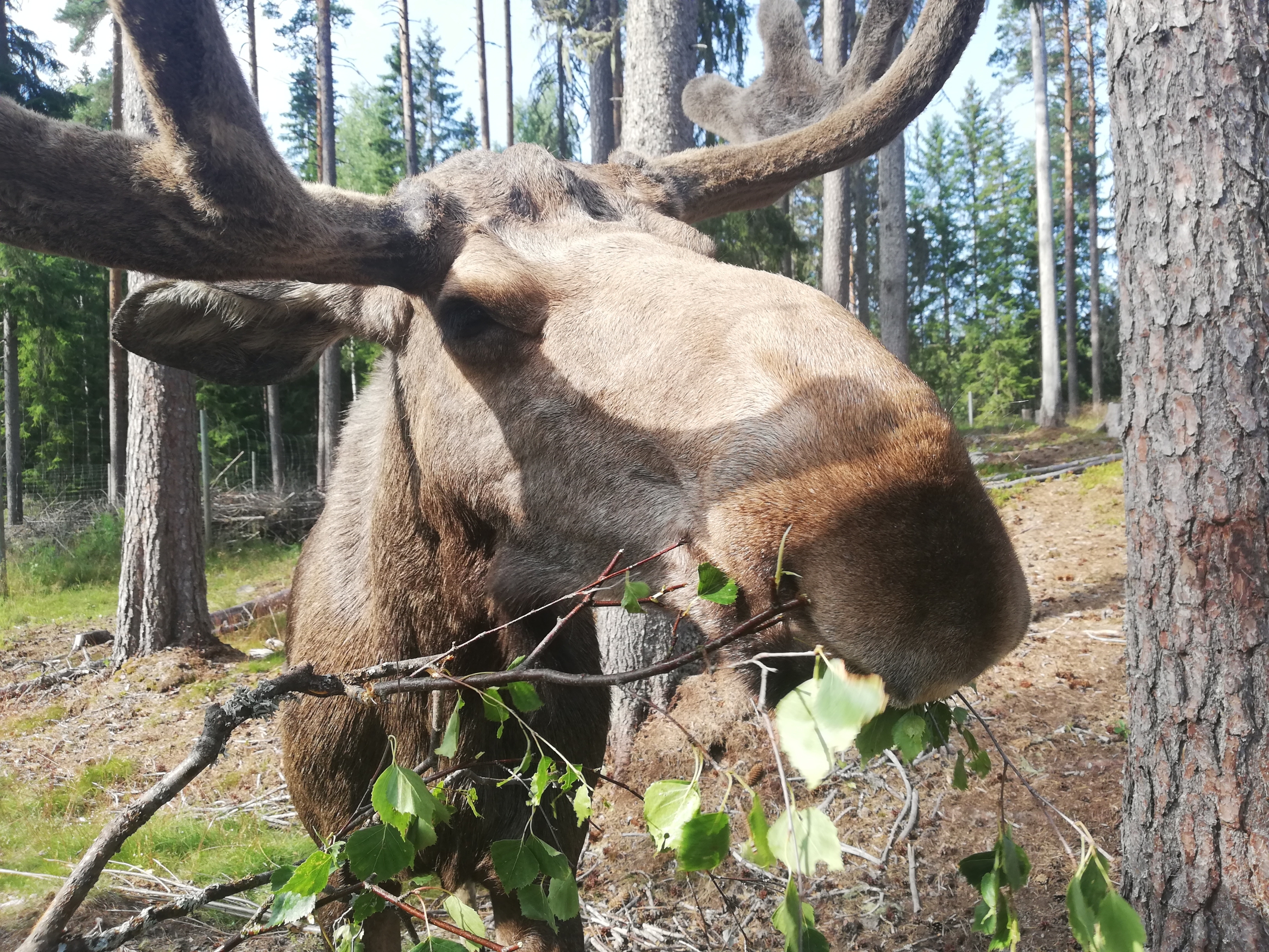 Things to do in the region