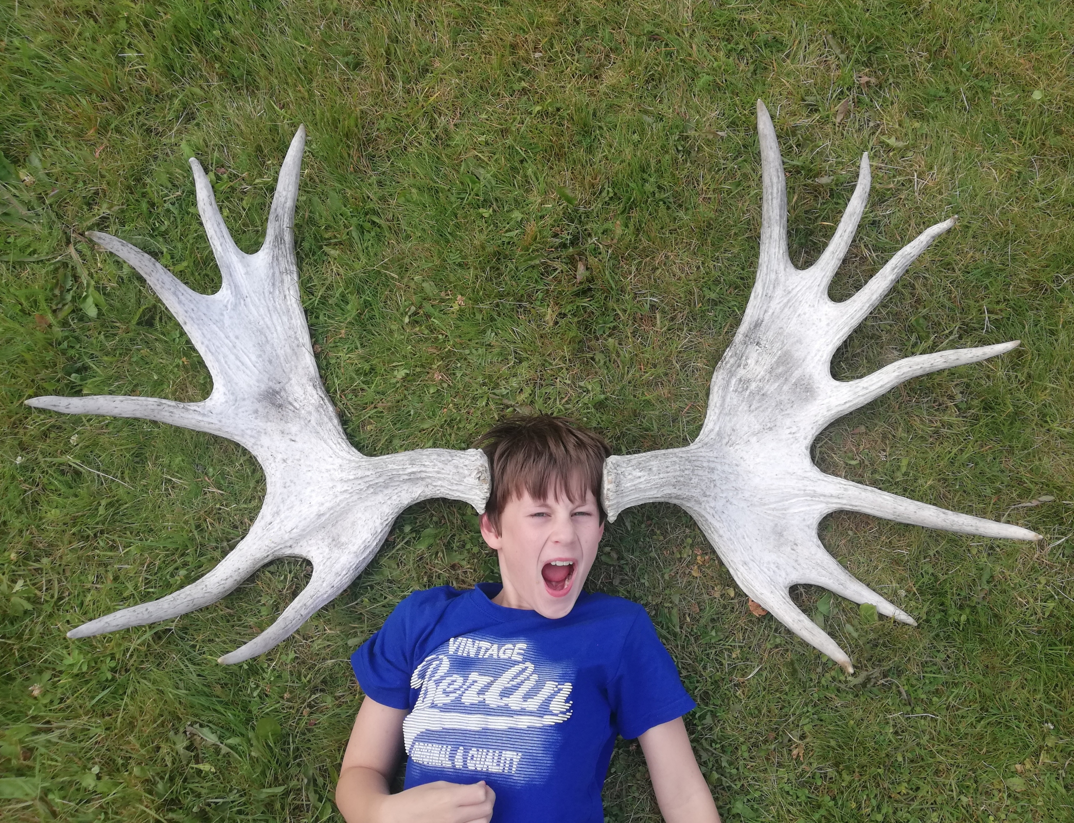 Aktiviteter i området